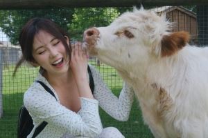 媒体人蛋宝：因为杨瀚森 越来越多中国球迷又重新关注篮球